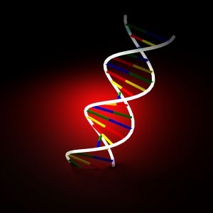 Según estudio, el alzheimer, el síndrome de down y la arteriosclerosis están relacionados. 