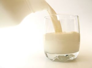Leche que previene en la diabetes y el desarrollo de células cancerosas