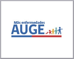 Plan AUGE incorporará 11 nuevas patologías