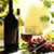 Consumo moderado de vino previene el deterioro cognitivo