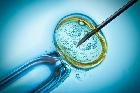 Fecundación In Vitro